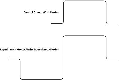 Effects of the Proprioceptive Neuromuscular Facilitation Contraction Sequence on Motor Skill Learning-Related Increases in the Maximal Rate of Wrist Flexion Torque Development